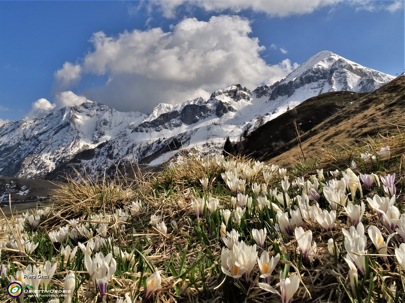 70 Il bianco delle nuvole, della neve , dei crocus....JPG